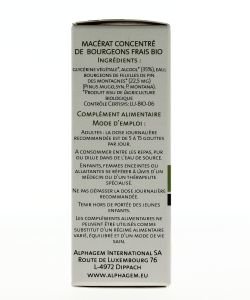 Pin des montagnes (Pinus mugo) bourgeon BIO, 15 ml